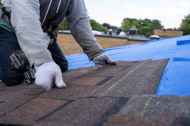 Best Storm Damage Roof Repair  in Northchase, NC